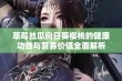 草莓丝瓜向日葵樱桃的健康功效与营养价值全面解析