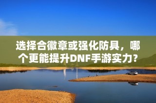 选择合徽章或强化防具，哪个更能提升DNF手游实力？