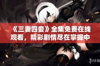 《三妻四妾》全集免费在线观看，精彩剧情尽在掌握中