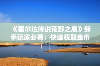 《塞尔达传说荒野之息》新手玩家必看：快速获取金币的实用技巧