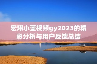 宏翔小蓝视频gy2023的精彩分析与用户反馈总结