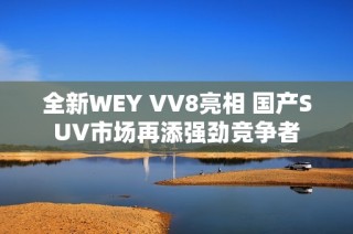 全新WEY VV8亮相 国产SUV市场再添强劲竞争者