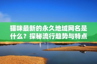 猫咪最新的永久地域网名是什么？探秘流行趋势与特点