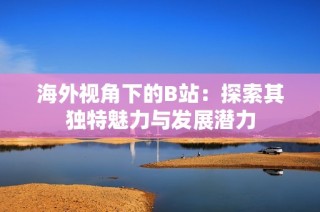 海外视角下的B站：探索其独特魅力与发展潜力