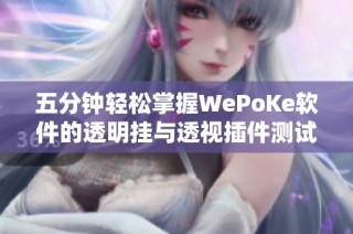 五分钟轻松掌握WePoKe软件的透明挂与透视插件测试内容