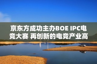 京东方成功主办BOE IPC电竞大赛 再创新的电竞产业高峰