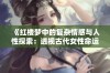 《红楼梦中的复杂情感与人性探索：透视古代女性命运》