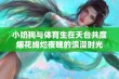 小奶狗与体育生在天台共度烟花绚烂夜晚的浪漫时光