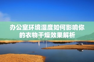 办公室环境湿度如何影响你的衣物干燥效果解析