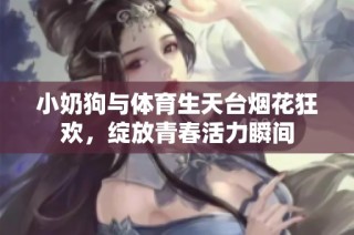 小奶狗与体育生天台烟花狂欢，绽放青春活力瞬间