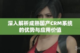 深入解析成熟国产CRM系统的优势与应用价值