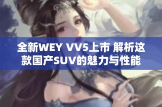 全新WEY VV5上市 解析这款国产SUV的魅力与性能