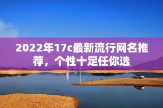 2022年17c最新流行网名推荐，个性十足任你选