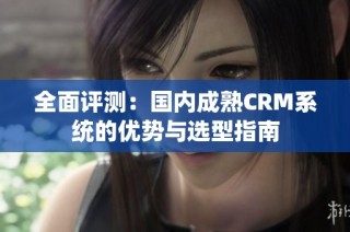 全面评测：国内成熟CRM系统的优势与选型指南