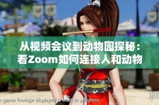 从视频会议到动物园探秘：看Zoom如何连接人和动物的世界