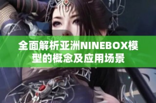 全面解析亚洲NINEBOX模型的概念及应用场景