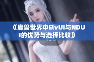 《魔兽世界中ElvUI与NDUI的优势与选择比较》