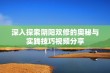 深入探索阴阳双修的奥秘与实践技巧视频分享