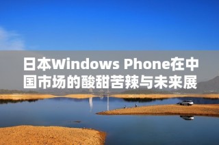 日本Windows Phone在中国市场的酸甜苦辣与未来展望