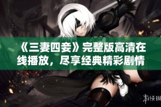 《三妻四妾》完整版高清在线播放，尽享经典精彩剧情