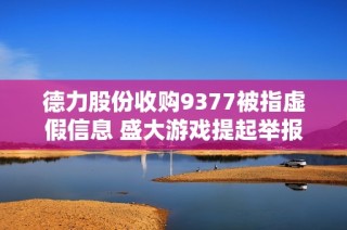 德力股份收购9377被指虚假信息 盛大游戏提起举报调查