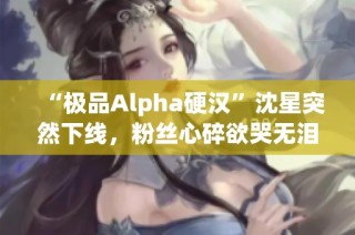 “极品Alpha硬汉”沈星突然下线，粉丝心碎欲哭无泪