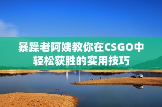 暴躁老阿姨教你在CSGO中轻松获胜的实用技巧