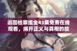 巡回检察组全43集免费在线观看，揭开正义与真相的故事