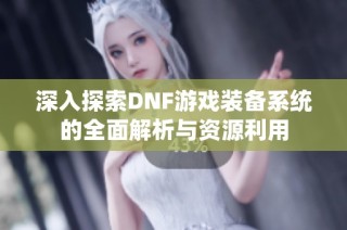 深入探索DNF游戏装备系统的全面解析与资源利用