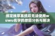 绑定挨草系统后无法使用wuwu名字的原因分析与解决方案