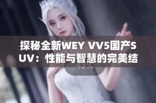 探秘全新WEY VV5国产SUV：性能与智慧的完美结合