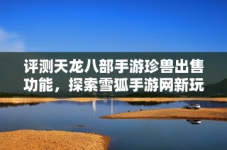 评测天龙八部手游珍兽出售功能，探索雪狐手游网新玩法