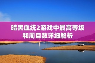 暗黑血统2游戏中最高等级和周目数详细解析