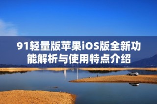 91轻量版苹果iOS版全新功能解析与使用特点介绍