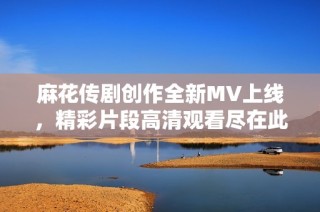 麻花传剧创作全新MV上线，精彩片段高清观看尽在此处