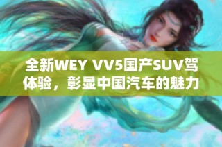 全新WEY VV5国产SUV驾体验，彰显中国汽车的魅力与实力