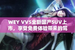 WEY VV5全新国产SUV上市，享受免费体验带来的驾驭乐趣