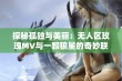 探秘孤独与美丽：无人区玫瑰MV与一颗狼星的奇妙联系