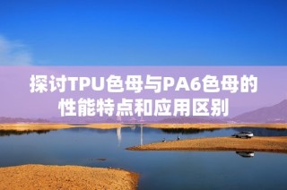 探讨TPU色母与PA6色母的性能特点和应用区别