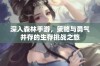 深入森林手游，策略与勇气并存的生存挑战之旅