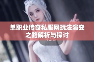 单职业传奇私服网玩法演变之路解析与探讨