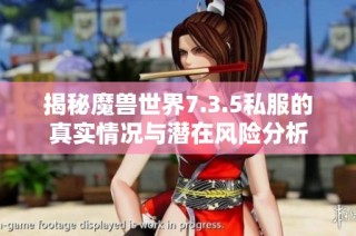 揭秘魔兽世界7.3.5私服的真实情况与潜在风险分析