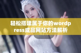 轻松搭建属于你的wordpress成品网站方法解析