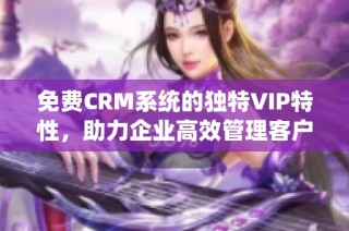 免费CRM系统的独特VIP特性，助力企业高效管理客户关系