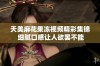 天美麻花果冻视频精彩集锦 细腻口感让人欲罢不能