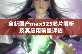 全新国产max323芯片解析及其应用前景评估