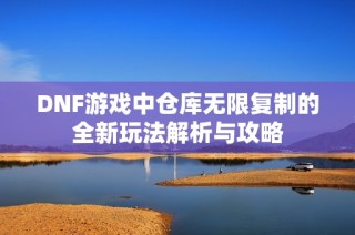 DNF游戏中仓库无限复制的全新玩法解析与攻略