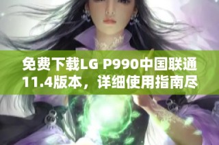 免费下载LG P990中国联通11.4版本，详细使用指南尽在ZOL