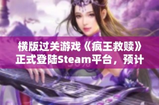 横版过关游戏《疯王救赎》正式登陆Steam平台，预计明年发售