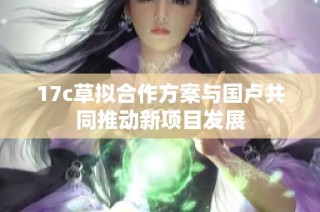 17c草拟合作方案与国卢共同推动新项目发展